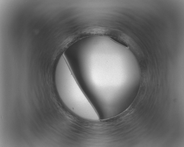 X0000062640309200512211014