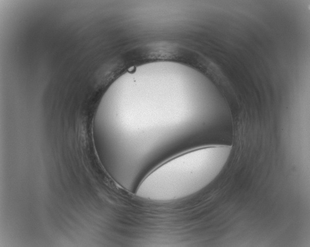 X0000062640312200512211014
