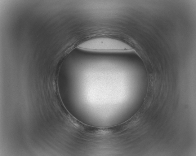 X0000062640313200512211014