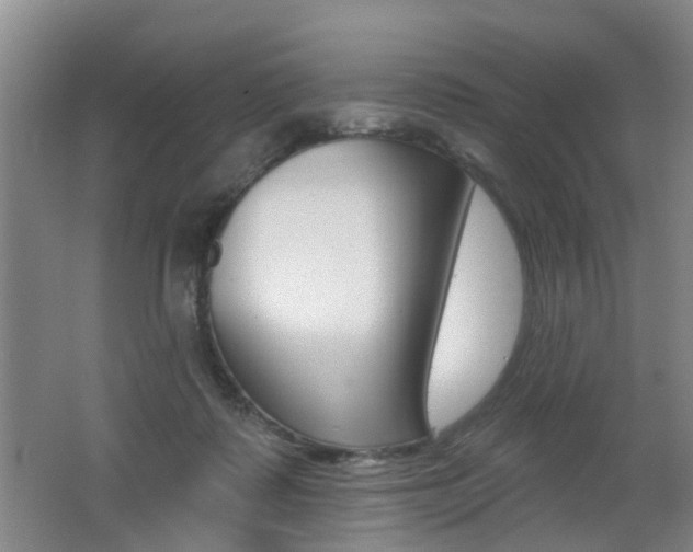 X0000062640315200512211014