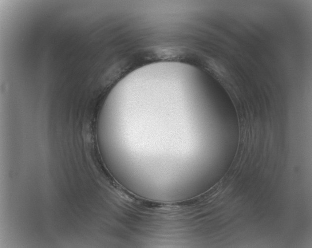 X0000062640317200512211014