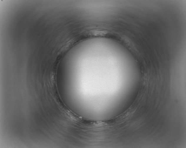 X0000062640321200512211014