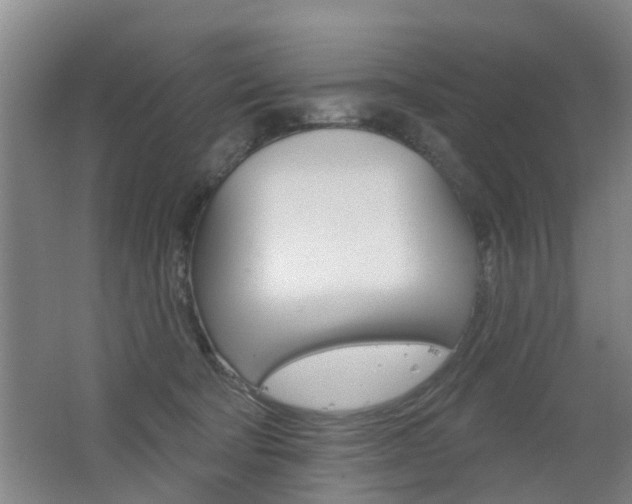 X0000062640322200512211014