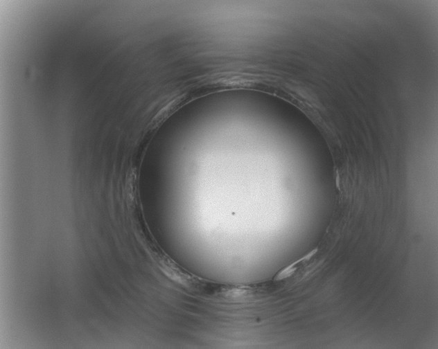 X0000062640325200512211014
