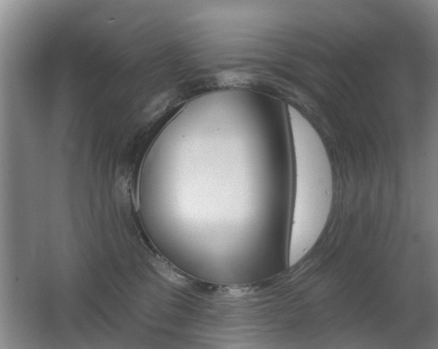 X0000062640329200512211014