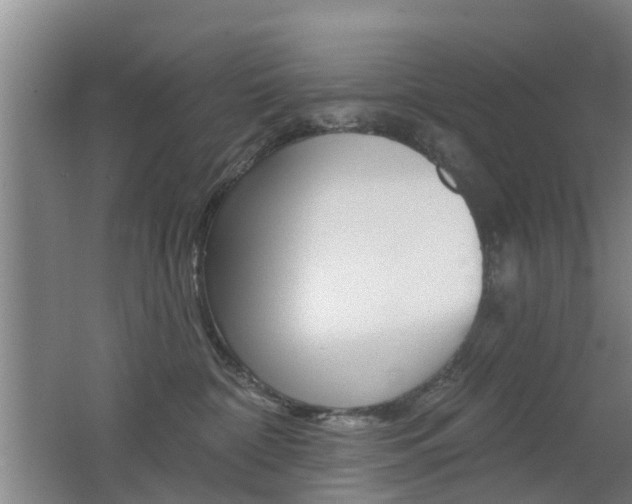 X0000062640332200512211014