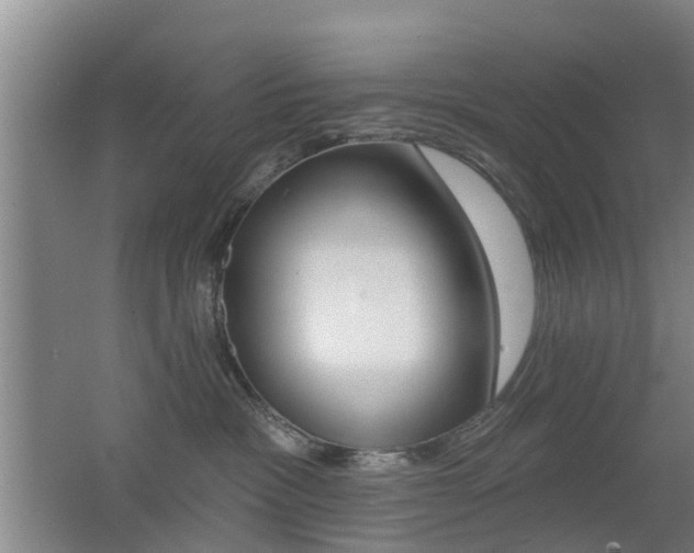 X0000062640333200512211014