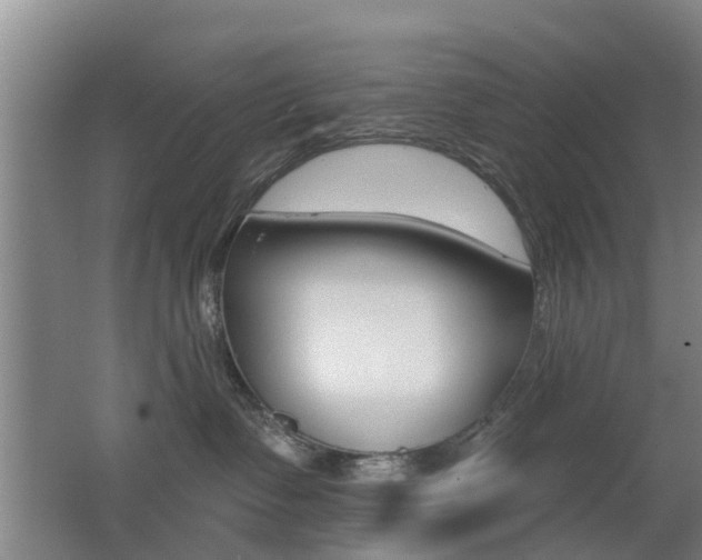 X0000062640335200512211014