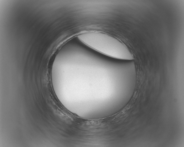 X0000062640338200512211013