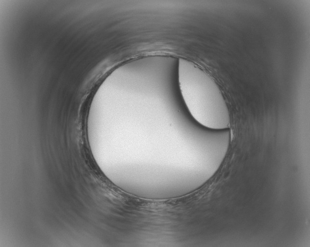 X0000062640339200512211013
