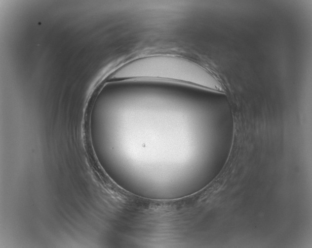 X0000062640340200512211013