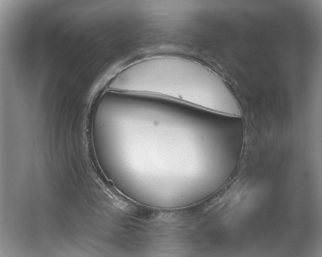 X0000062640341200512211013
