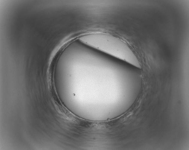 X0000062640343200512211013