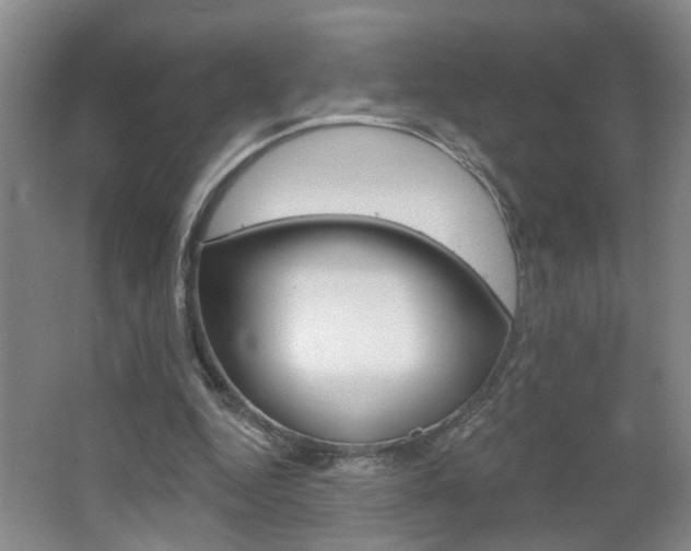 X0000062640344200512211013