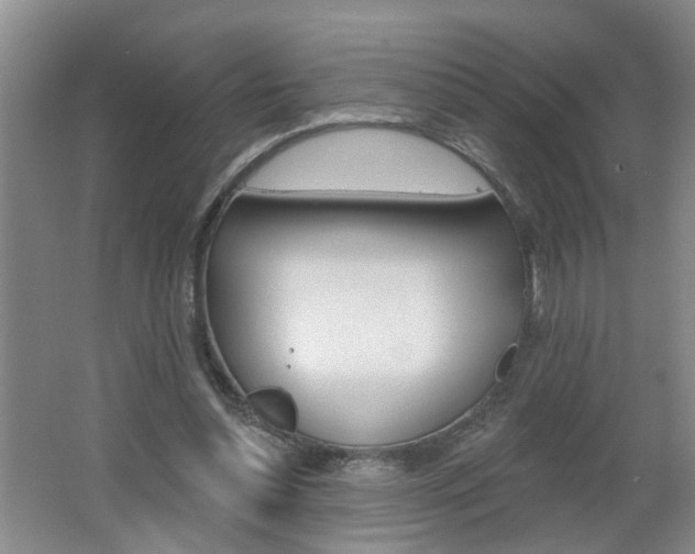 X0000062640348200512211013