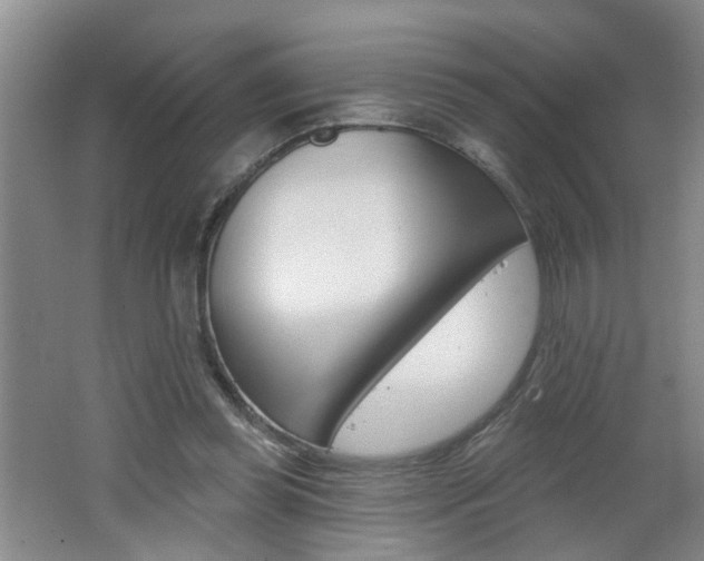 X0000062640349200512211013