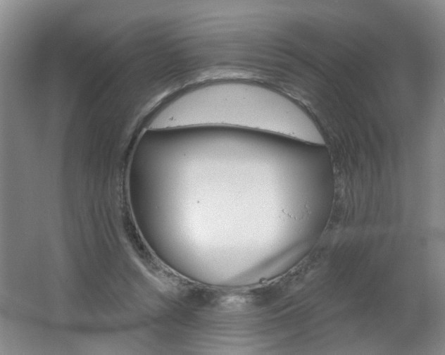 X0000062640352200512211013