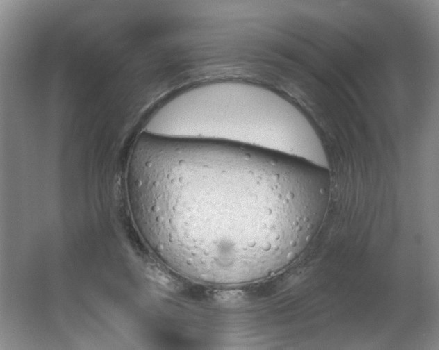 X0000062640355200512211013