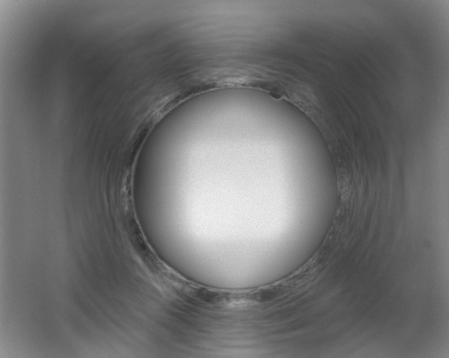 X0000062640360200512211013