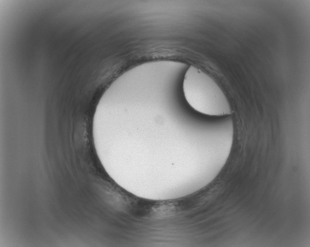 X0000062640362200512211013