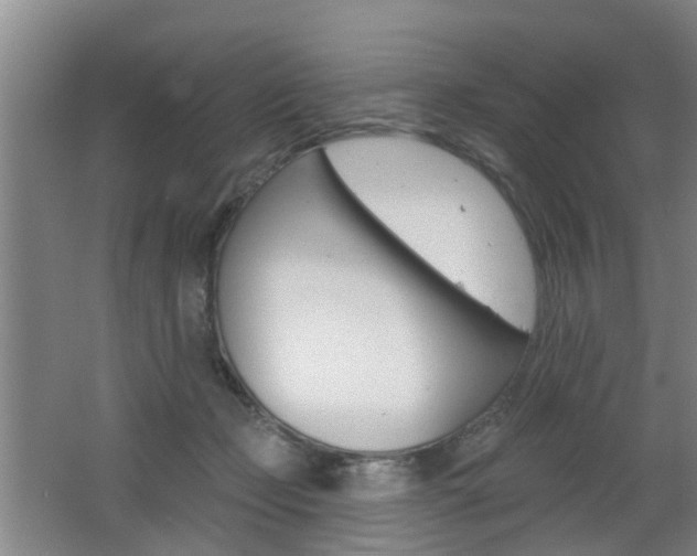 X0000062640365200512211014
