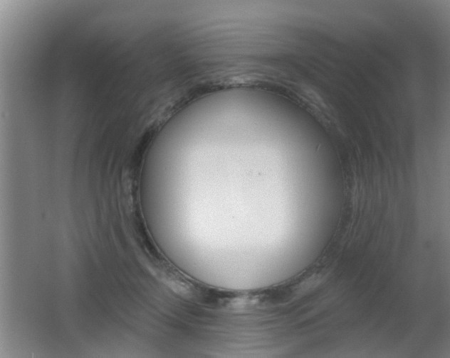X0000062640366200512211014