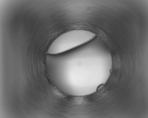 X0000062640377200512211014