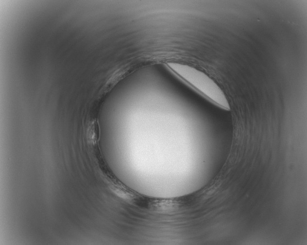X0000062640383200512211014