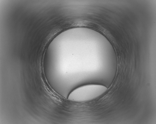 X0000062640386200512211013