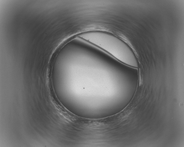X0000062640387200512211013