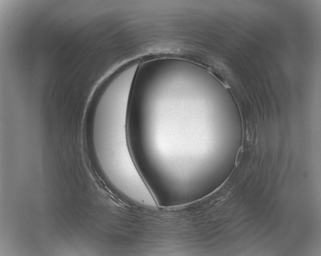 X0000062640388200512211013