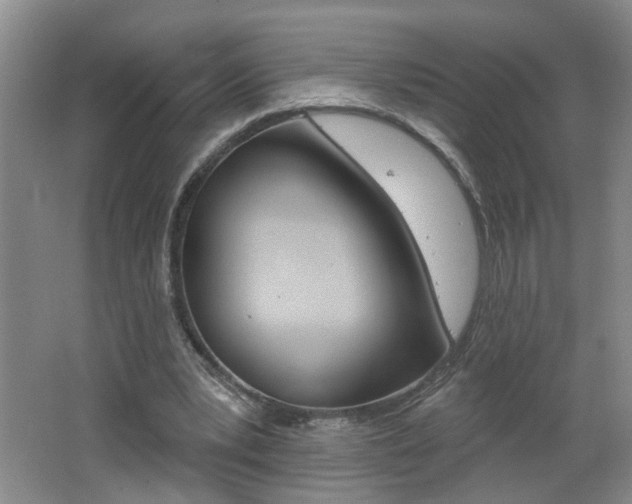 X0000062640391200512211013