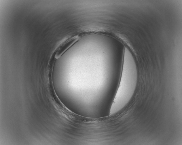 X0000062640395200512211013