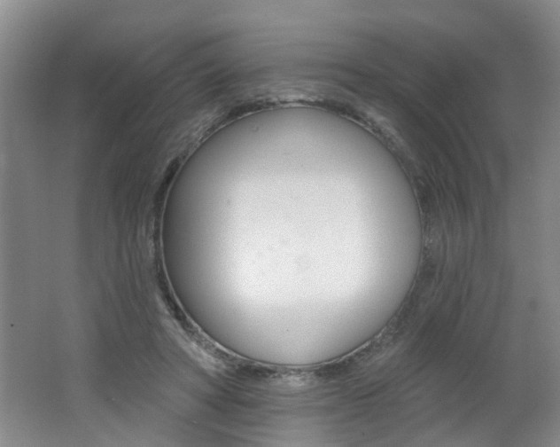 X0000062640402200512211013