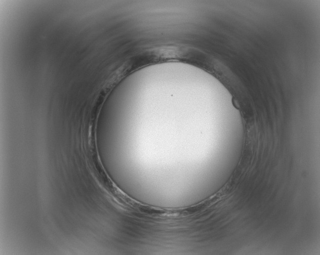 X0000062640406200512211013