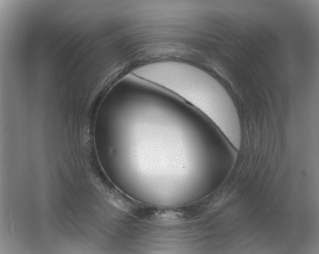 X0000062640407200512211013
