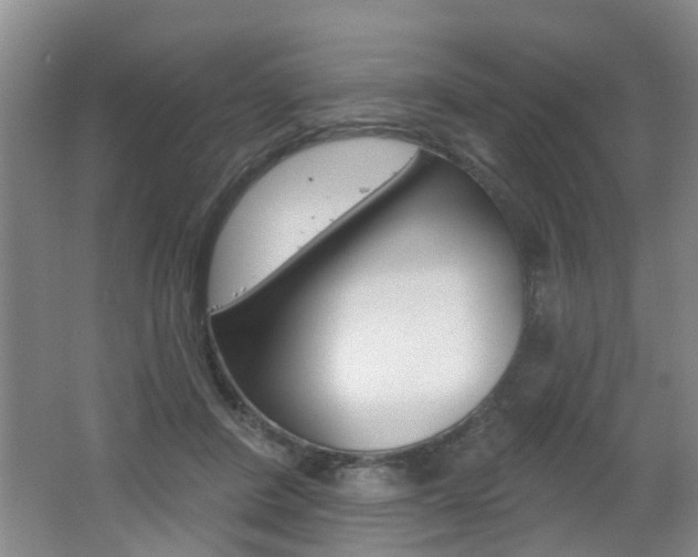X0000062640408200512211013