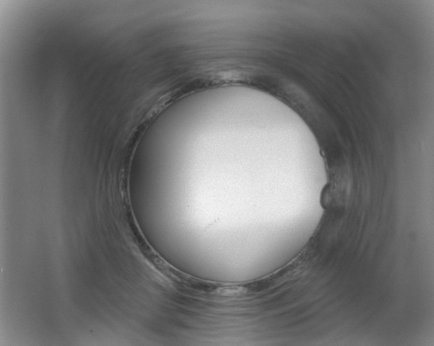 X0000062640410200512211013