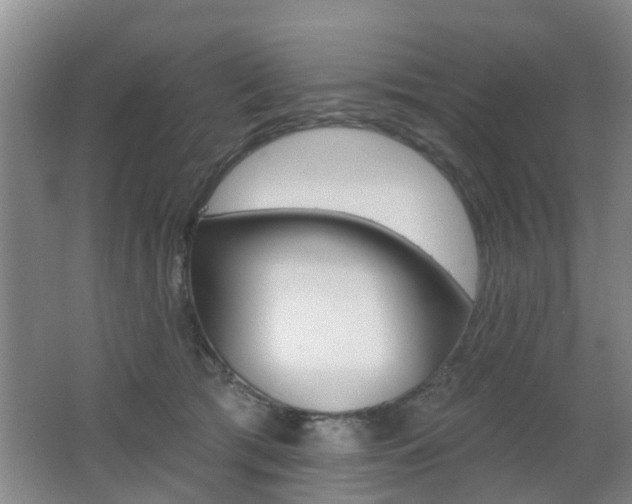 X0000062640417200512211012