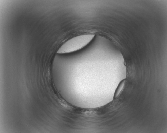 X0000062640426200512211012