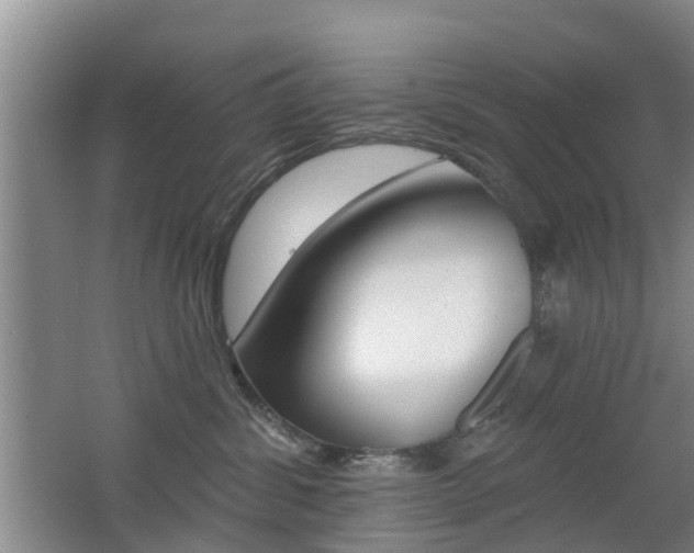 X0000062640428200512211012