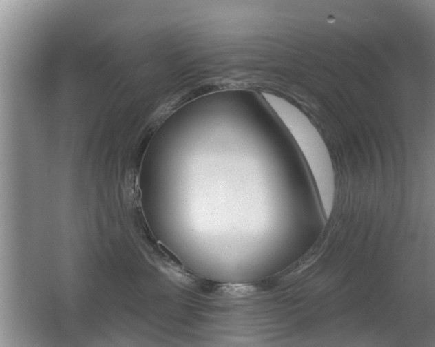 X0000062640429200512211012