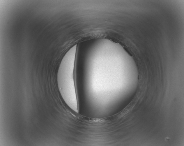 X0000062640432200512211012