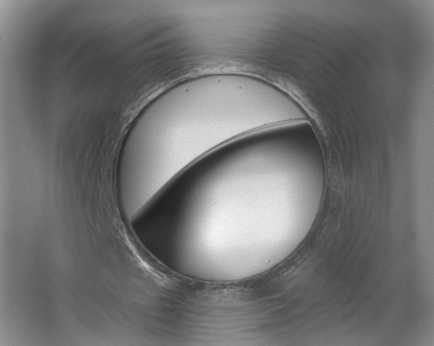 X0000062640433200512211011