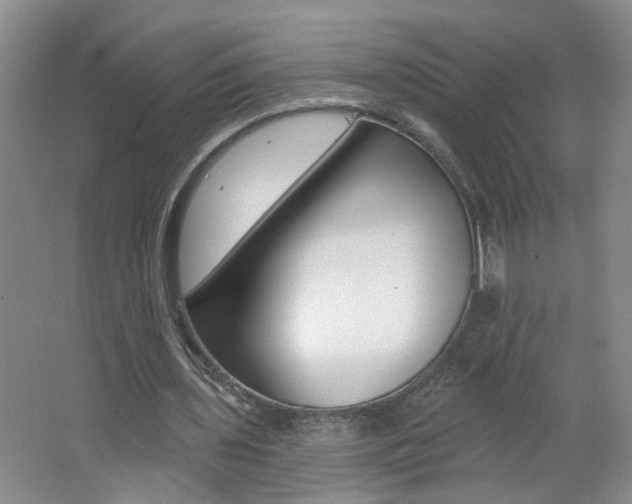 X0000062640435200512211011