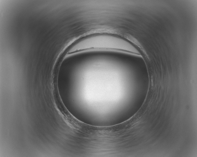 X0000062640436200512211011