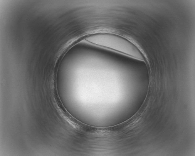 X0000062640437200512211011