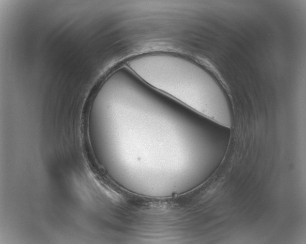 X0000062640439200512211011
