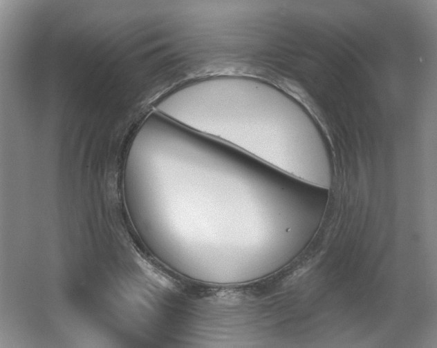 X0000062640441200512211012