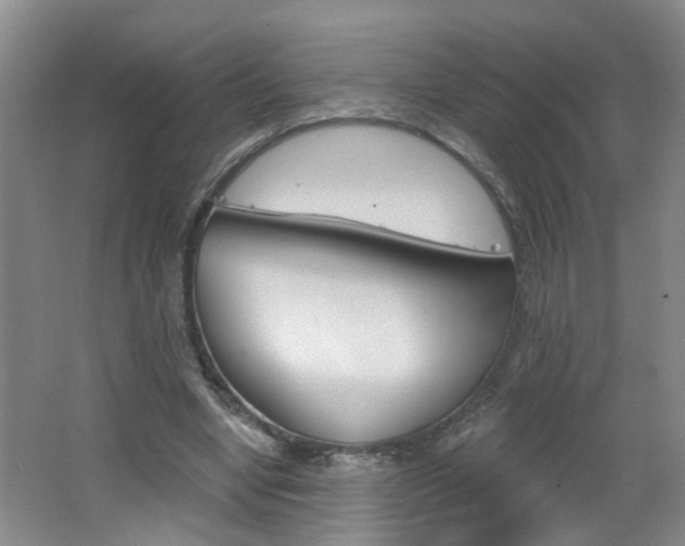 X0000062640442200512211012